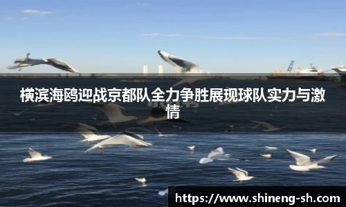 球王会网址