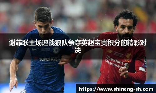 谢菲联主场迎战狼队争夺英超宝贵积分的精彩对决