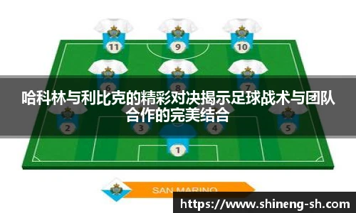 哈科林与利比克的精彩对决揭示足球战术与团队合作的完美结合