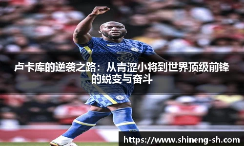球王会体育
