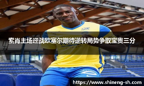 IM电竞官网入口