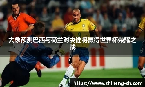 IM电竞官网入口