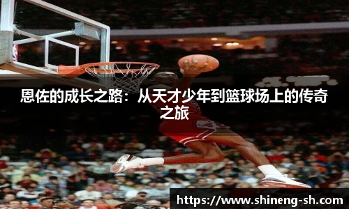 IM电竞官网入口